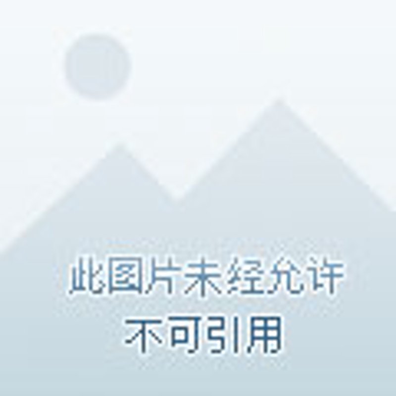 黄金手镯:中国传统文化与现代审美的完美融合